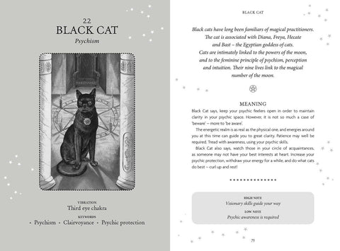 The Witches Oracle Cards Deck Welbeck Publishing Esoteric Sally Morningstar +Bag