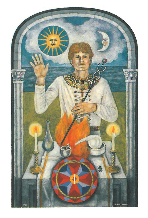 The Jungian Tarot 78-Card Deck by Robert Wang with Velvet Bag US Games
