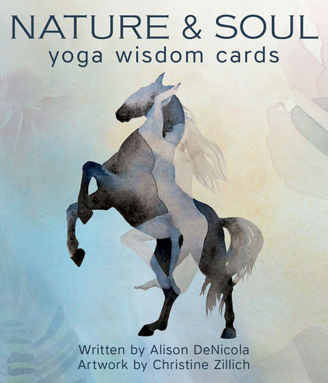 Nature & Soul Yoga Wisdom Cards Deck by US Games with Guidebook & Bag