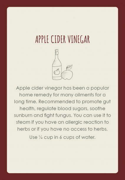 Womb Medicine Healing Cards Animal Dreaming Publishing By Sali Mcintyre Bag NEW