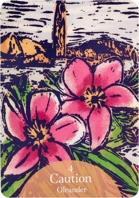 The Language Of Flowers Oracle Cards And Bag Deck Rockpool Darcey Esoteric NEW