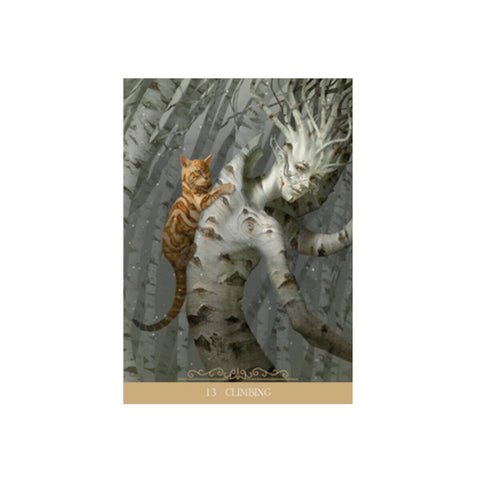 Barbieri Fantasy Cats Oracle Deck by Lo Scarabeo with Bag & Guidebook