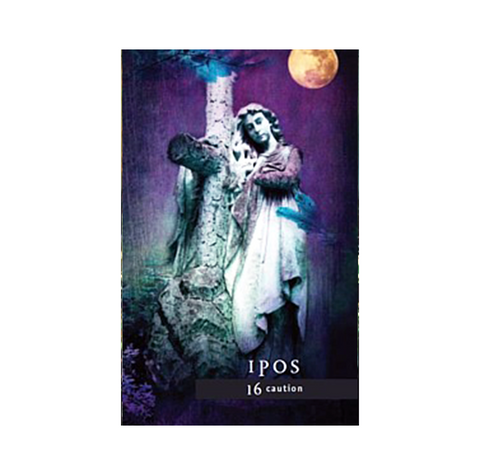 Fallen Angel Oracle Cards Deck with Guidebook & Velvet Bag by Cico Books