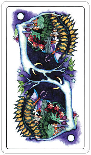 Tarot of the Moon Garden Deck by US Games with Velvet Bag & Guidebook