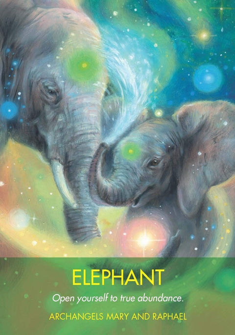 Hay House Archangel Animal Oracle - Angel & Animal Guidance Cards Set With Bag