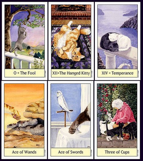 Cats Eye Tarot Deck 78 Cards with Velvet Bag by US Games Systems
