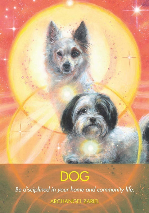 Hay House Archangel Animal Oracle - Angel & Animal Guidance Cards Set With Bag