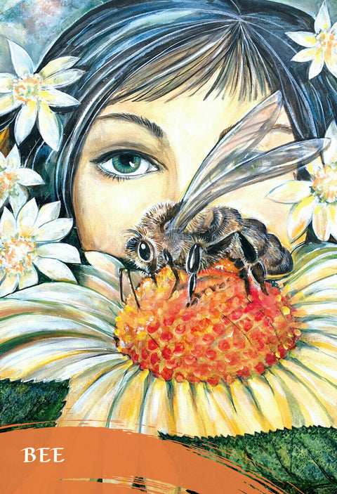 The Zen Of Animals Oracle Cards By Pamela Matthews Cards Of Natural Wisdom Bag