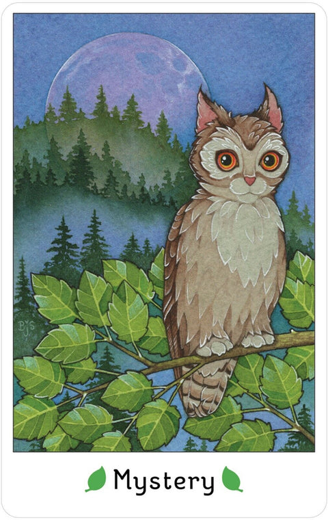 Affirmations Of The Fairy Cats Cards Deck & Book Set US Games With Bag NEW