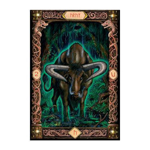 Power of the Runes Divination Card Deck w/ Velvet Bag US Games