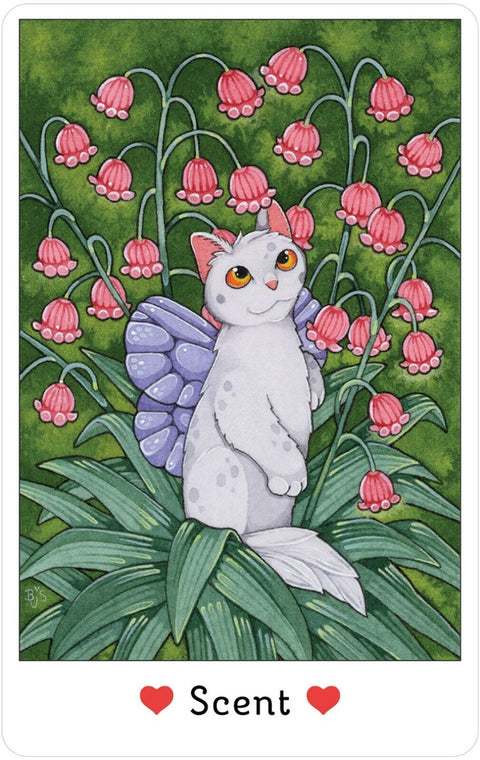 Affirmations Of The Fairy Cats Cards Deck & Book Set US Games With Bag NEW