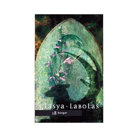 Fallen Angel Oracle Cards Deck with Guidebook & Velvet Bag by Cico Books