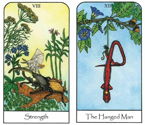 Nature Spirit Tarot Deck – Botanical, Animal Cards With Bag