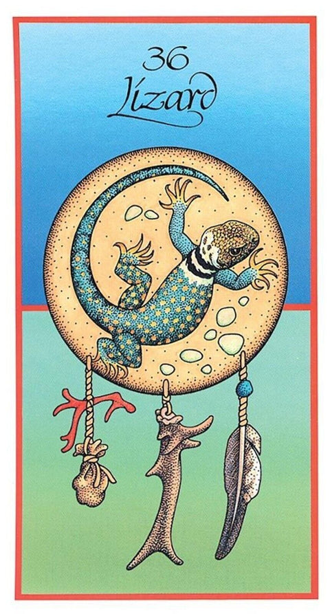 Medicine Cards Deck & Book Set Esoteric Animals US Games Systems With Bag