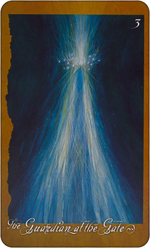 The Faeries Oracle Cards And Bag Deck Book Atria Books Esoteric Brian Froud NEW