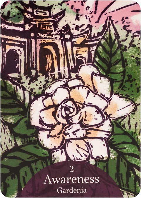 The Language Of Flowers Oracle Cards And Bag Deck Rockpool Darcey Esoteric NEW