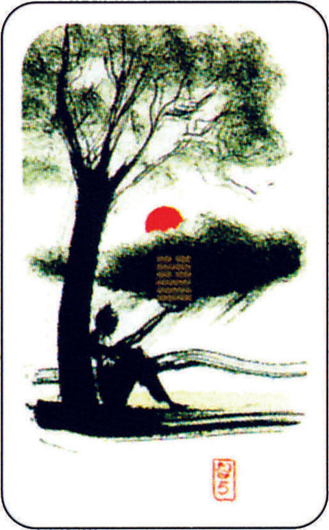 I Ching By Klaus Holitzka Oracle Deck Cards Esoteric Agm With Velvet Bag NEW