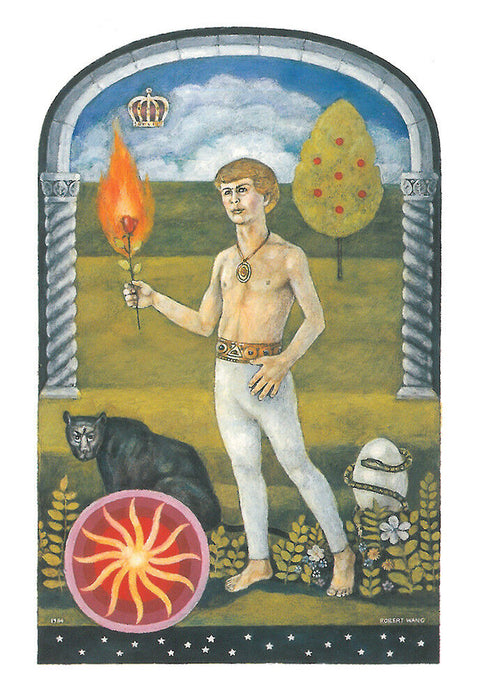 The Jungian Tarot 78-Card Deck by Robert Wang with Velvet Bag US Games