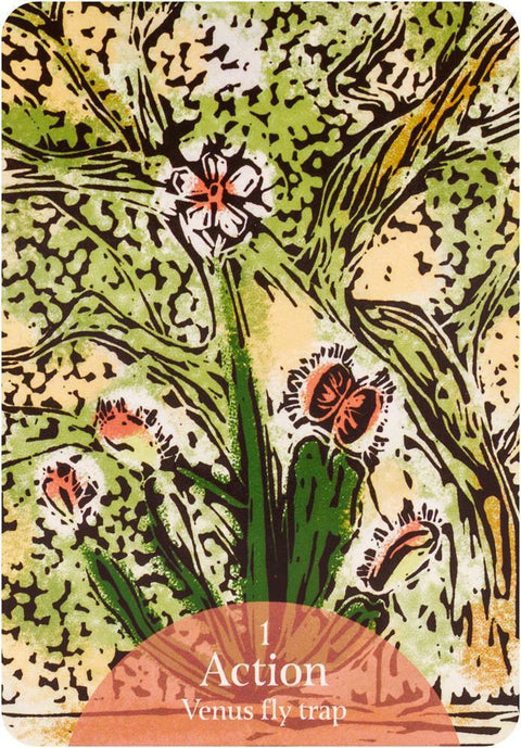 The Language Of Flowers Oracle Cards And Bag Deck Rockpool Darcey Esoteric NEW