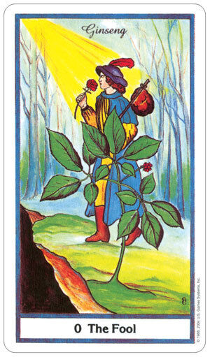 The Herbal Tarot 78-Card Deck by US Games with Velvet Bag New Sealed