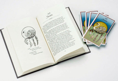 Medicine Cards Deck & Book Set Esoteric Animals US Games Systems With Bag