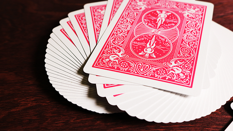 Bicycle Fuchsia Rider Back Pink Playing Cards Deck Magic Tricks USa USpcc NEW