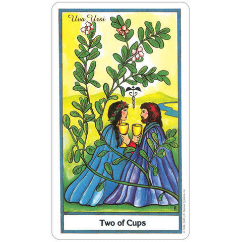 The Herbal Tarot 78-Card Deck by US Games with Velvet Bag New Sealed