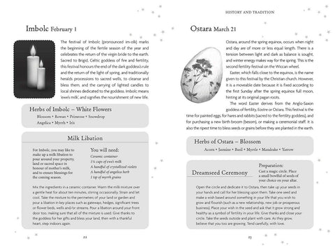 The Witches Oracle Cards Deck Welbeck Publishing Esoteric Sally Morningstar +Bag