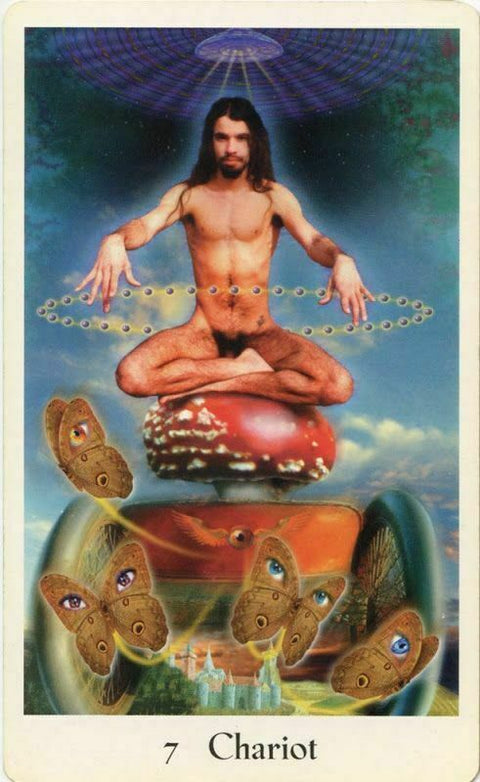 The Cosmic Tribe Tarot Cards Destiny Books Stevee Postman Text By Eric Bag NEW