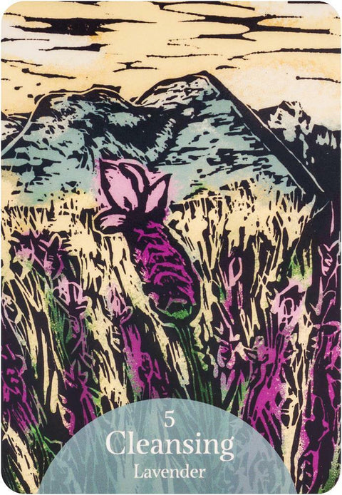 The Language Of Flowers Oracle Cards And Bag Deck Rockpool Darcey Esoteric NEW