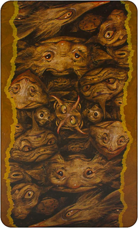 The Faeries Oracle Cards And Bag Deck Book Atria Books Esoteric Brian Froud NEW