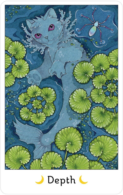 Affirmations Of The Fairy Cats Cards Deck & Book Set US Games With Bag NEW