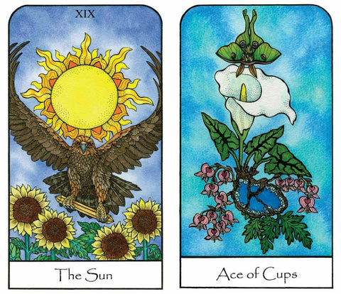 Nature Spirit Tarot Deck – Botanical, Animal Cards With Bag
