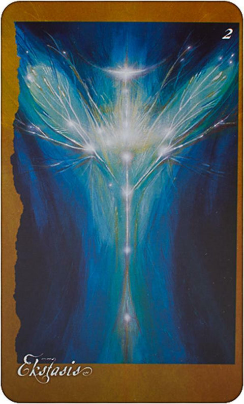 The Faeries Oracle Cards And Bag Deck Book Atria Books Esoteric Brian Froud NEW