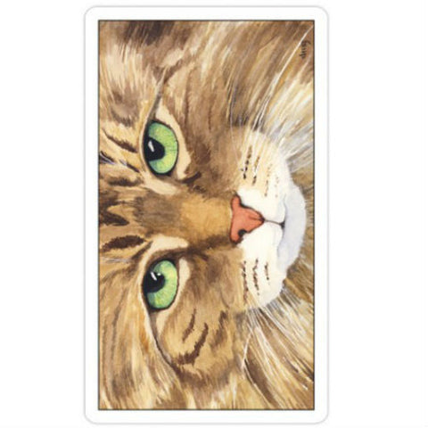 Cats Eye Tarot Deck 78 Cards with Velvet Bag by US Games Systems