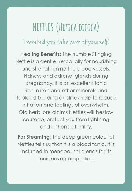 Womb Medicine Healing Cards Animal Dreaming Publishing By Sali Mcintyre Bag NEW