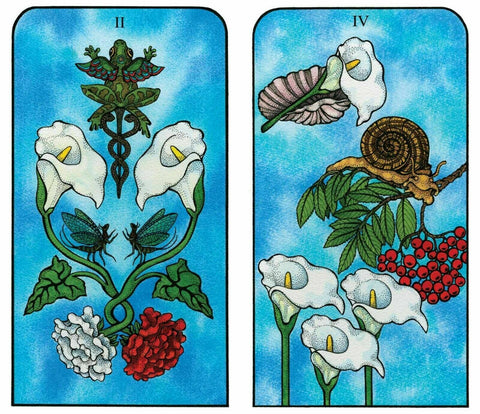 Nature Spirit Tarot Deck – Botanical, Animal Cards With Bag
