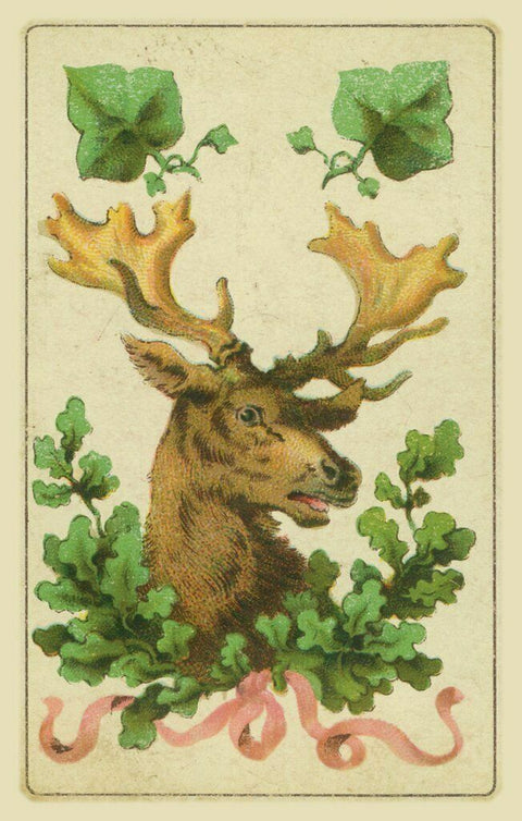 Folk Cards of Destiny Old Cartomancy Fortune Telling Deck Lo Scarabeo