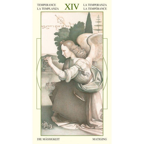 Leonardo Da Vinci Tarot Deck by Lo Scarabeo 78 Cards with Velvet Bag