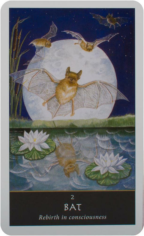 The Witches Oracle Cards Deck Welbeck Publishing Esoteric Sally Morningstar +Bag