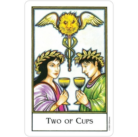 New Palladini Tarot Deck by US Games 78 Cards with Guidebook