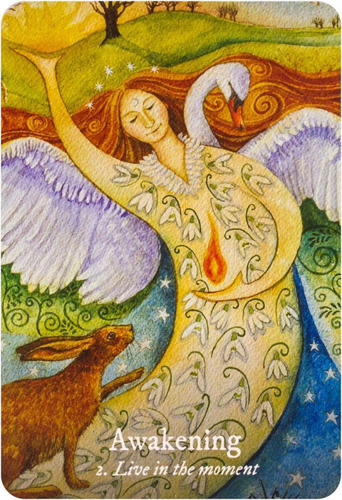 Goddess Love Oracle Cards And Bag Deck Rockpool Wendy Andrew Esoteric Divine NEW