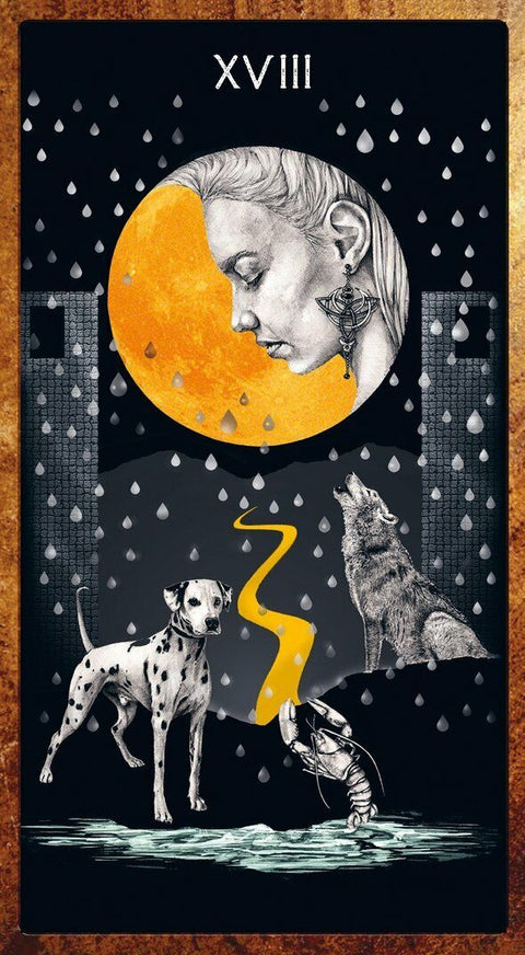 Dancing in the Dark Tarot Deck 78 Cards with Velvet Bag Lo Scarabeo