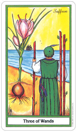 The Herbal Tarot 78-Card Deck by US Games with Velvet Bag New Sealed