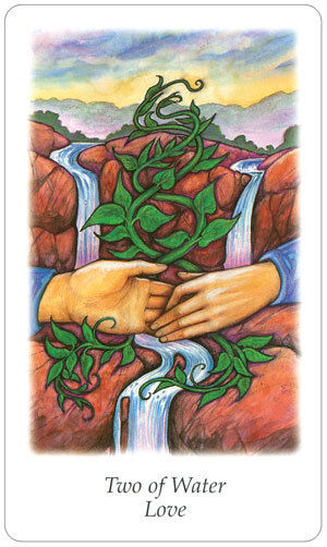 Vision Quest Tarot Cards Deck And Bag By Gayan Sylvie Winter Esoteric Agm NEW