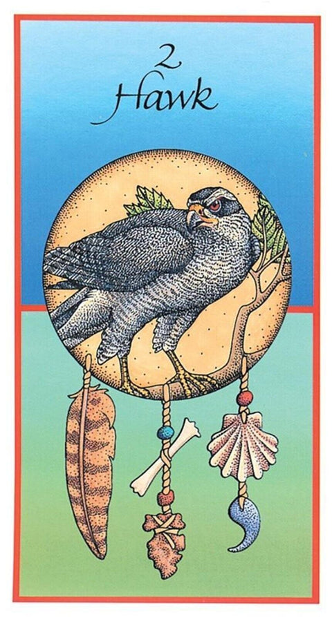 Medicine Cards Deck & Book Set Esoteric Animals US Games Systems With Bag