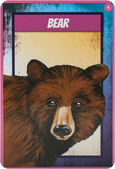 Shamanic Power Animal Oracle Cards Deck Findhorn Esoteric Healing With Bag