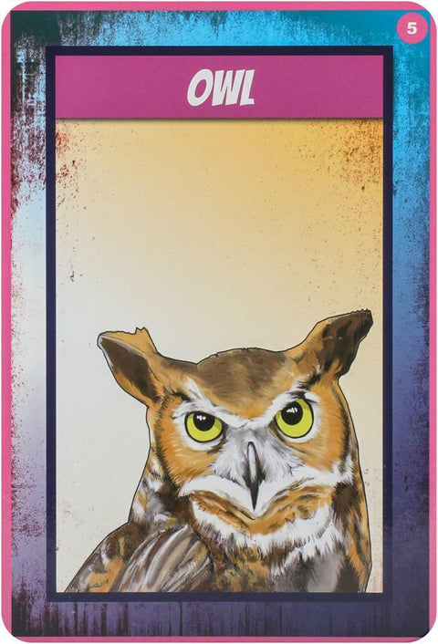 Shamanic Power Animal Oracle Cards Deck Findhorn Esoteric Healing With Bag