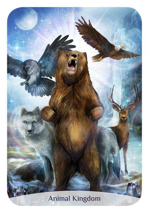 Sacred Power Reading Cards Deck Rockpool Anna Stark Divination With Bag NEW