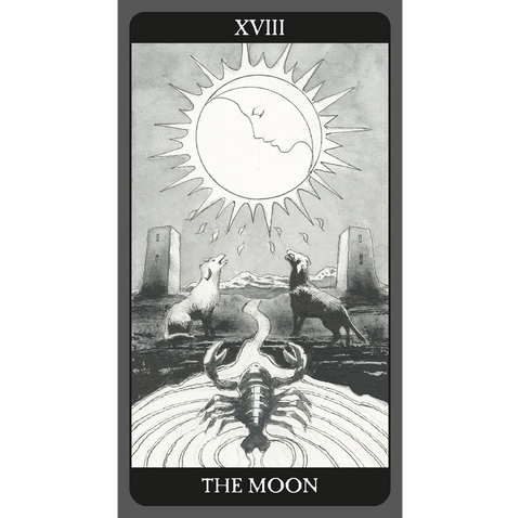 Dark Side of Tarot 78-Card Deck Lo Scarabeo by Corrado Roi Sasha Graham